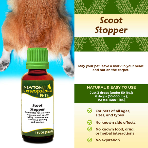 Newton Homeopathic Pets Scott Stopper Infographic