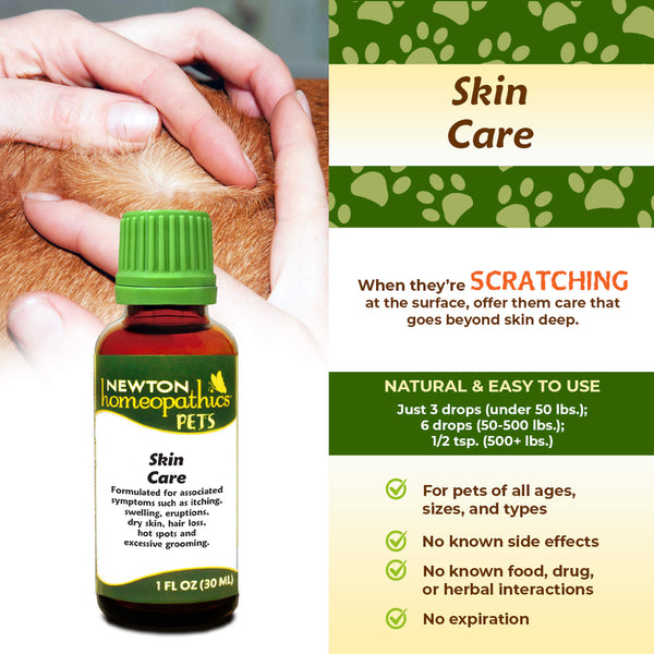 Newton Homeopathic Pets Skin Care Infographic