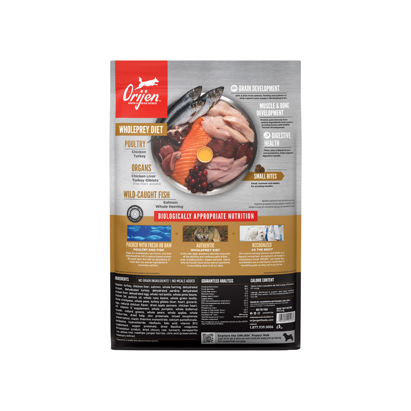 Orijen Grain Free Puppy Dry Dog Food Only Natural Pet
