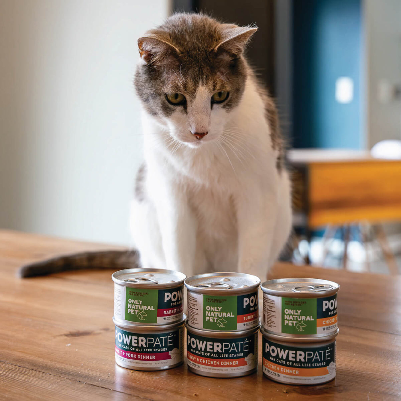 Is Chicken Safe for Cats?