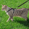 Premier Harness for Cats Wearing