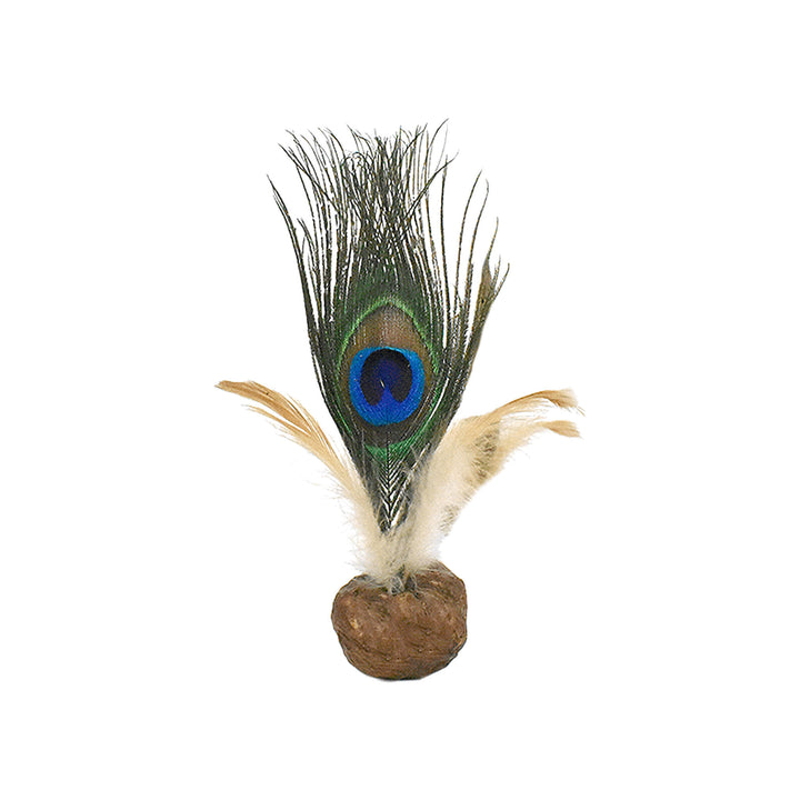 CATWANT Freeze Dried Gall Fruit Birdie Cat Toy