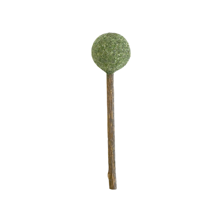 CATWANT Lollipops for Cats