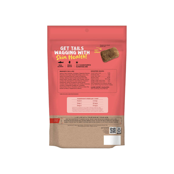 Cloud Star Dynamo Dog Salmon Skin & Coat Functional Soft Chews Dog Treats Bag Back