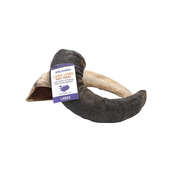 Icelandic+ Lamb Horn Dog Chews