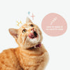 Kin + Kind Natural Kitty Ear Cleaner for Cats