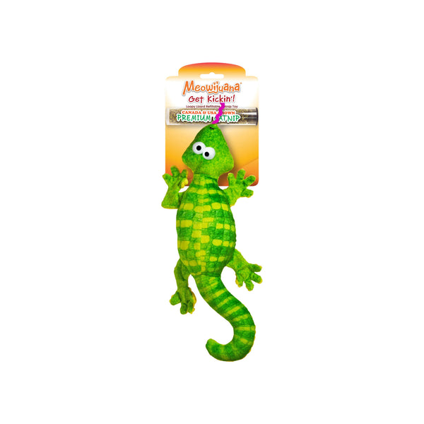 Loopy Lizard