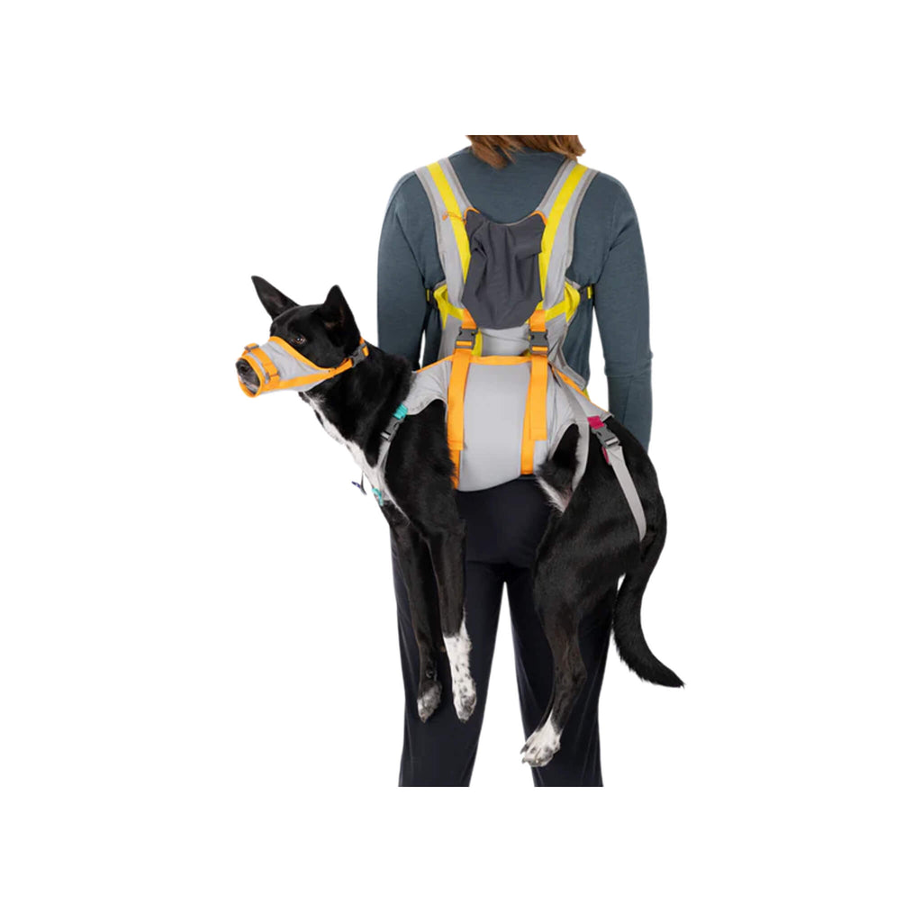 Kit X Ruff's Ruffwear BackTrak Dog Evacuation Kit | Only Natural Pet