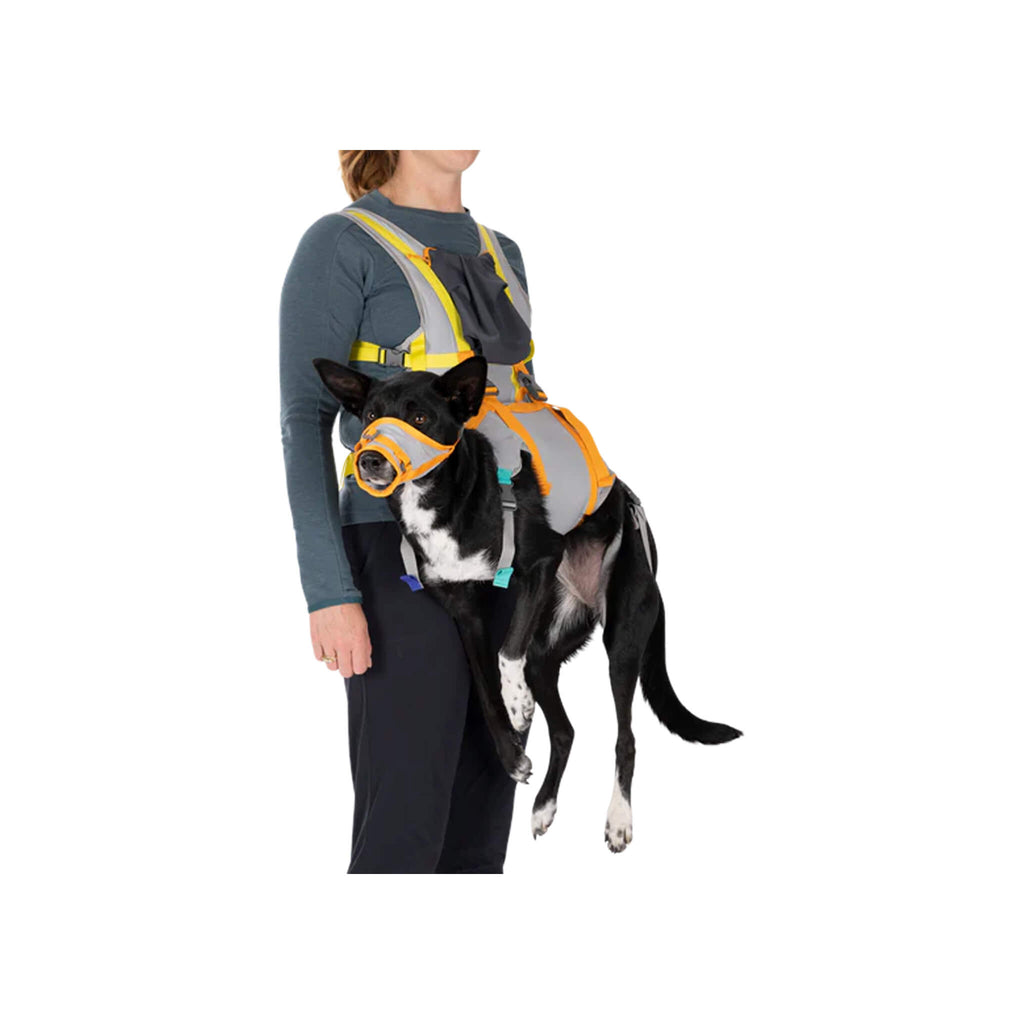 Ruffwear BackTrak Dog Evacuation Kit | Only Natural Pet