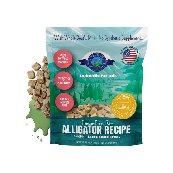 Alligator