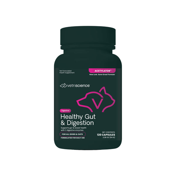 VetriScience Healthy Gut & Digestion Supplement for Dogs & Cats Bottle Front
