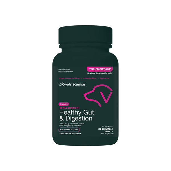 VetriScience Extra Strength Healthy Gut & Digestion for Dogs Front of Bottle