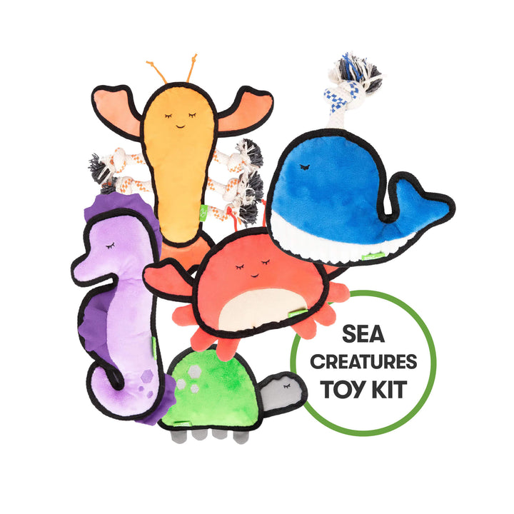 Sea Creatures Toy Kit