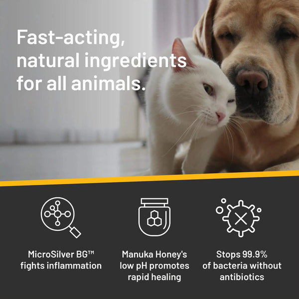 Silver Honey Rapid Ear Care Wipes for Dogs & Cats
