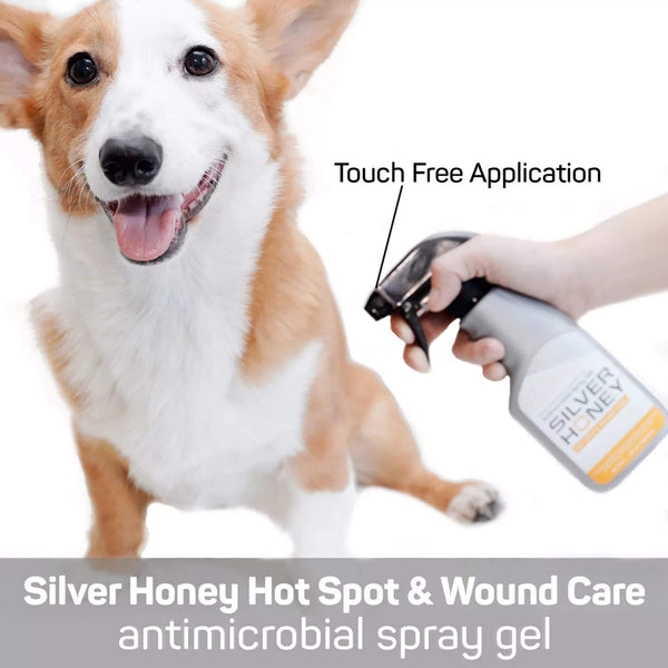 Silver Honey Hot Spot & Wound Care Antimicrobial Spray Gel for Dogs & Cats