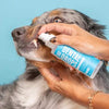 Skout's Honor Advanced Formula Oral Care Dental Drops for Dogs & Cats