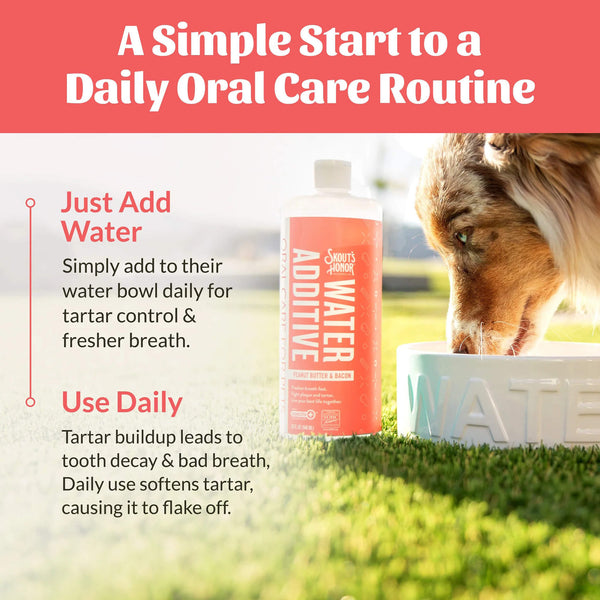 Skout's Honor Flavored Oral Care Water Additive for Dogs & Cats