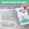 Skout's Honor Outdoor Concrete & Turf Urine & Odor Destroyer