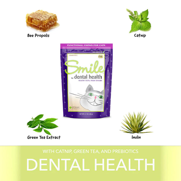 In Clover Smile Soft Chews for Cats Ingredients Infographic