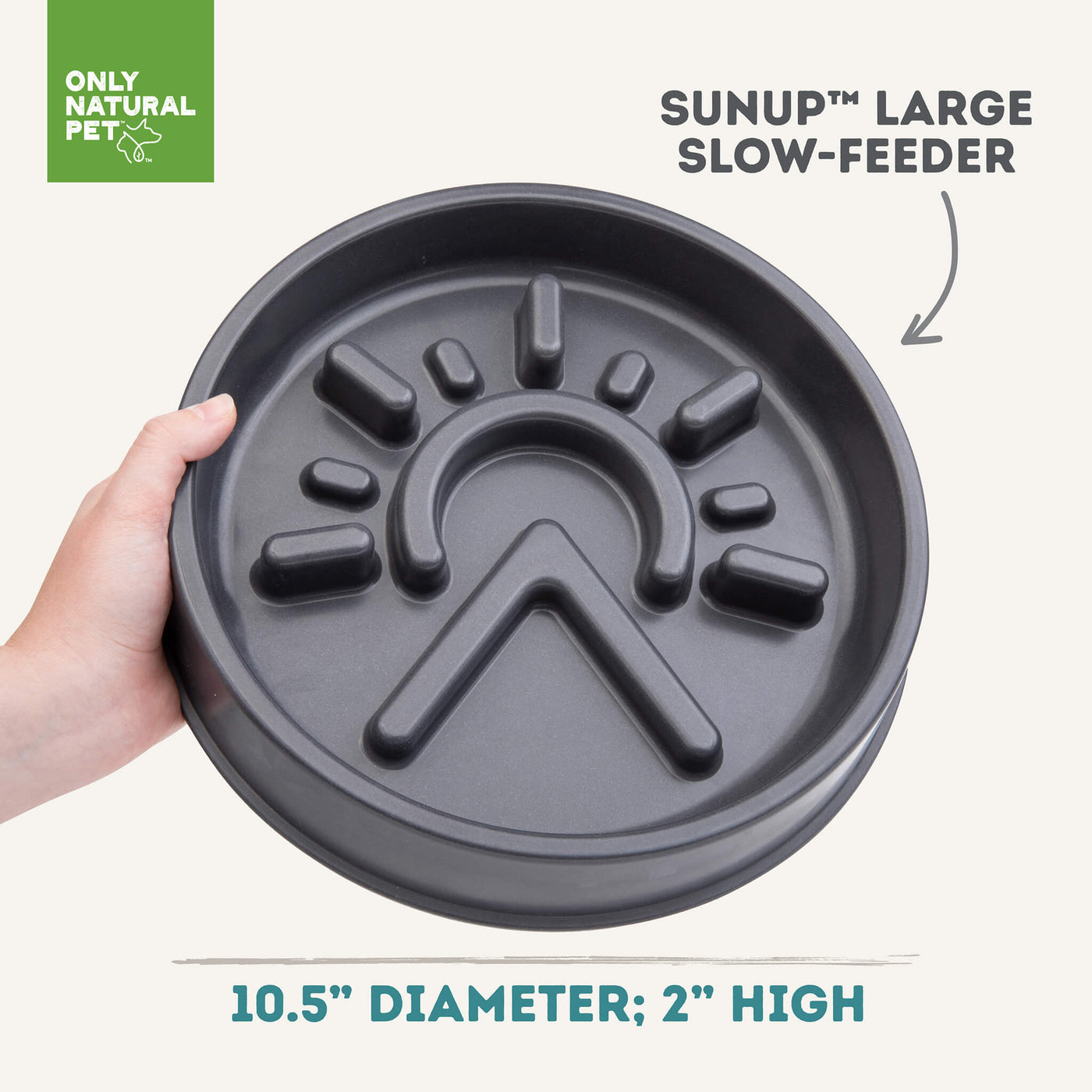 Sunup Eco-Friendly Slow-Feeder Dog Bowl