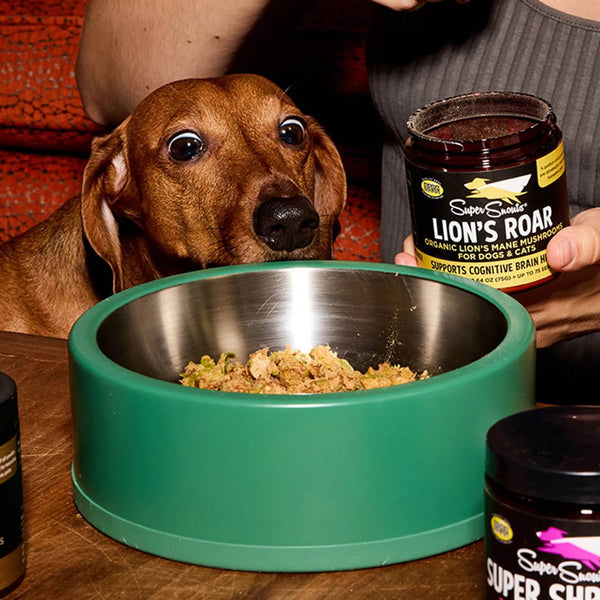 Super Snouts Lion's Roar Organic Lion's Mane Cognitive Support Powder for Dogs & Cats