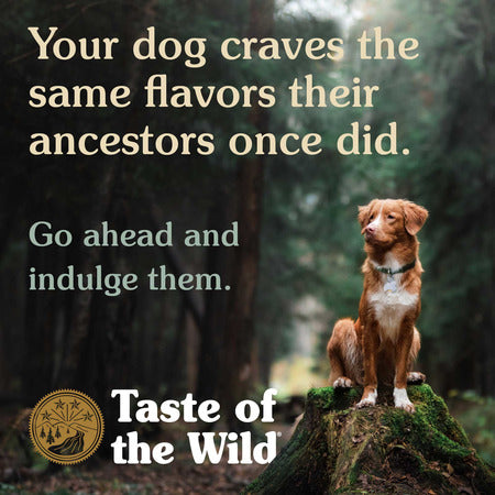 Is taste of the wild bad for dogs online