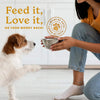 The Missing Link Skin & Coat Powder Superfood Supplement for Dogs