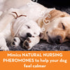 Thunderworks ThunderEase Calming Pheromone Diffuser Kit for Dogs