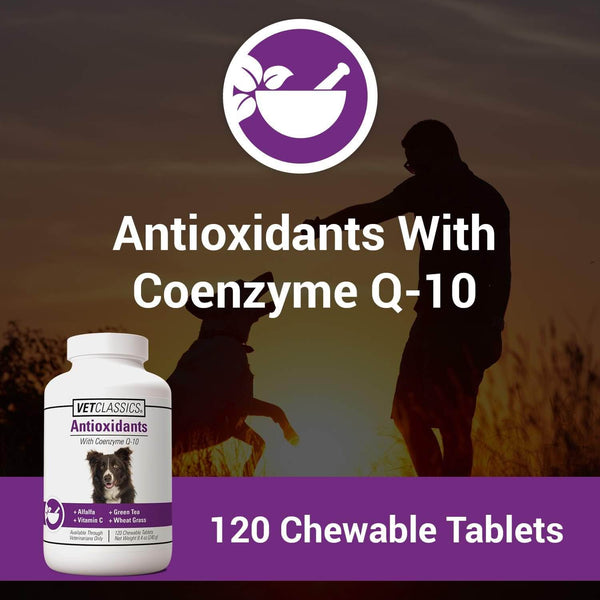 120 Tablets
