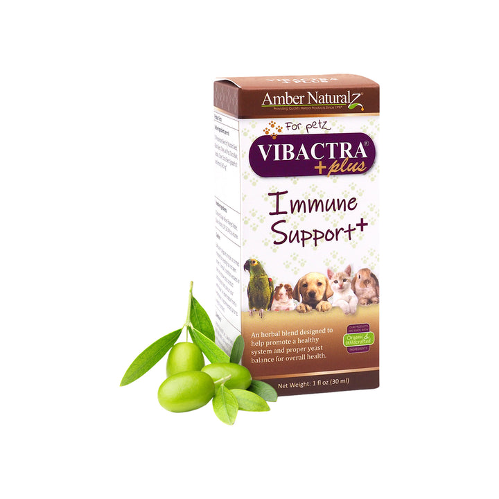 Amber Naturalz Vibactra Plus Immune Support Herbal Liquid Supplement for Dogs & Cats