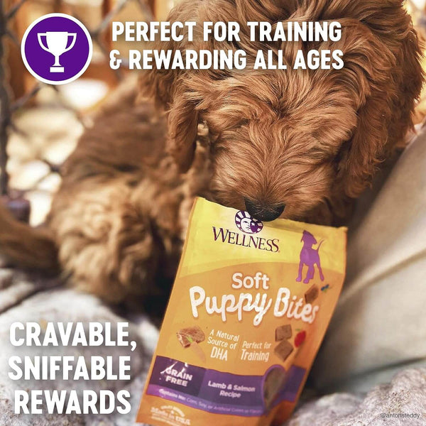 Wellness Just For Puppy Treats Rewarding Infographic