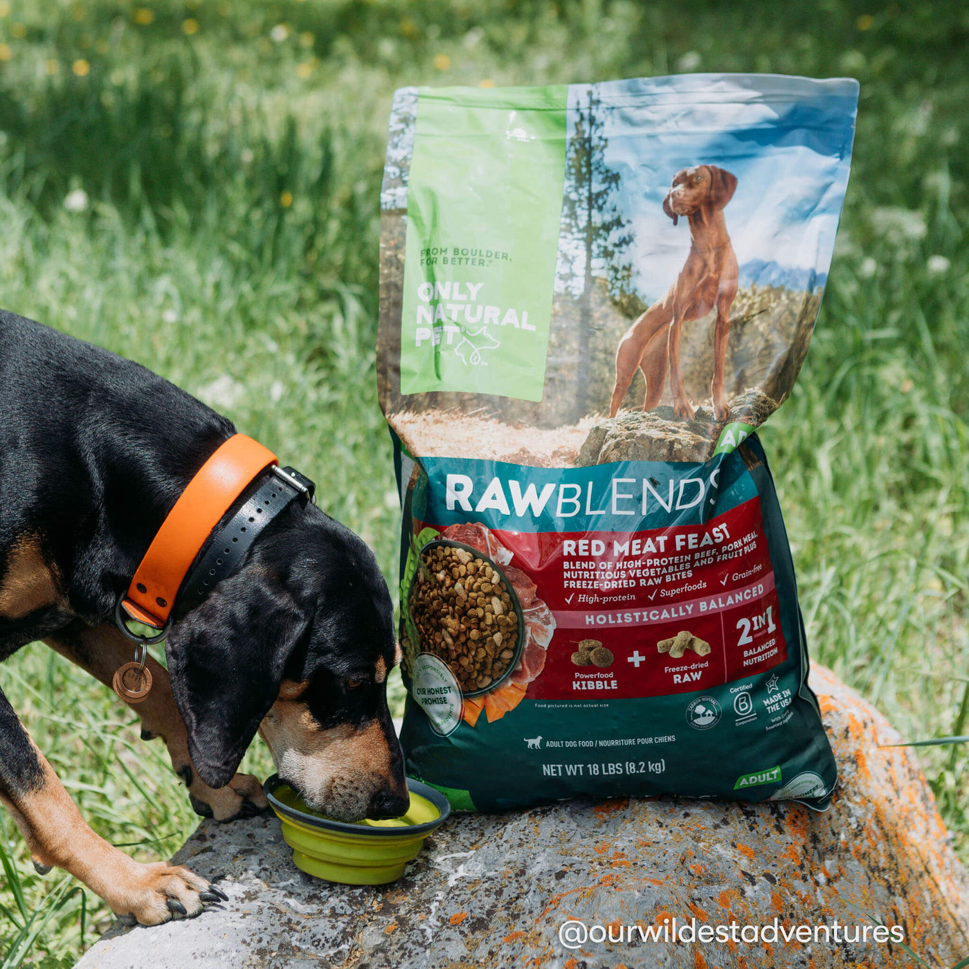 Raw Blends Red Meat Feast Grain Free Dog Food Only Natural Pet