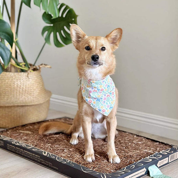 Bark Potty All Natural Pee Pad with Pastel Dog