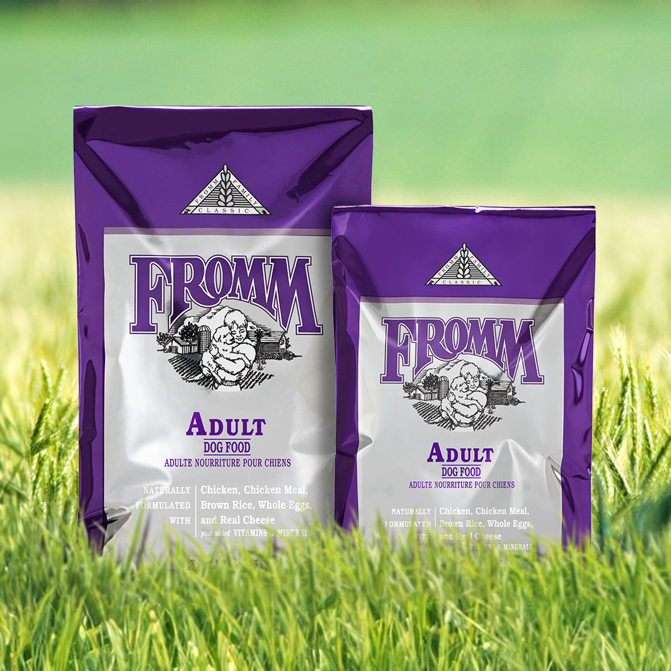 best place to buy fromm dog food Fromm Classic Adult Formula Dry Dog Food