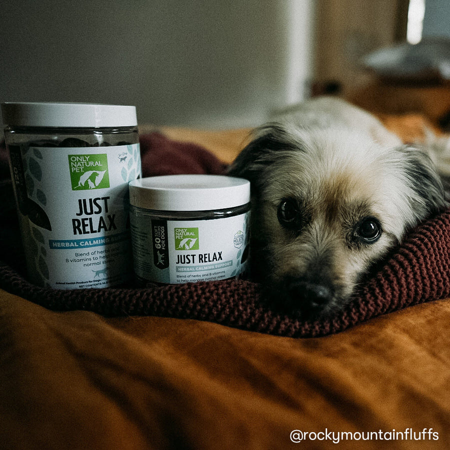 Only Natural Pet Just Relax Herbal Calming Soft Chews
