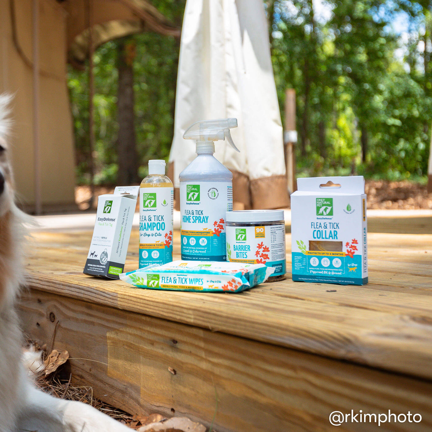 Easy Homemade Flea Repellent For Dogs - Homemade Ftempo