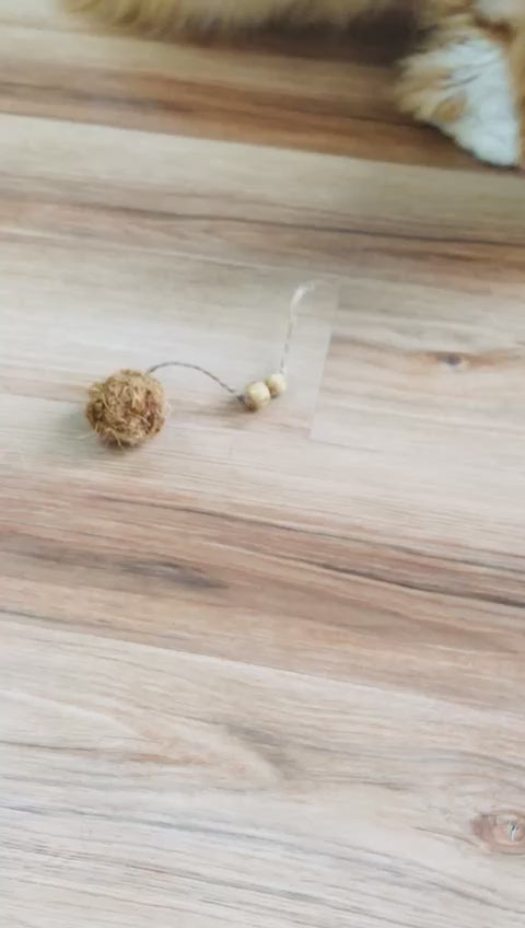 Healthy Pet World Coconut Husk Balls for Cats Ginger Cat Chewing Nutties Video