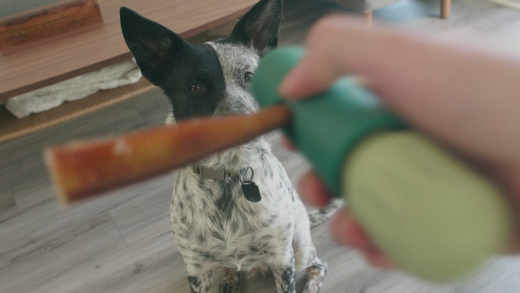 Woof Bullysafe Toys for Dogs