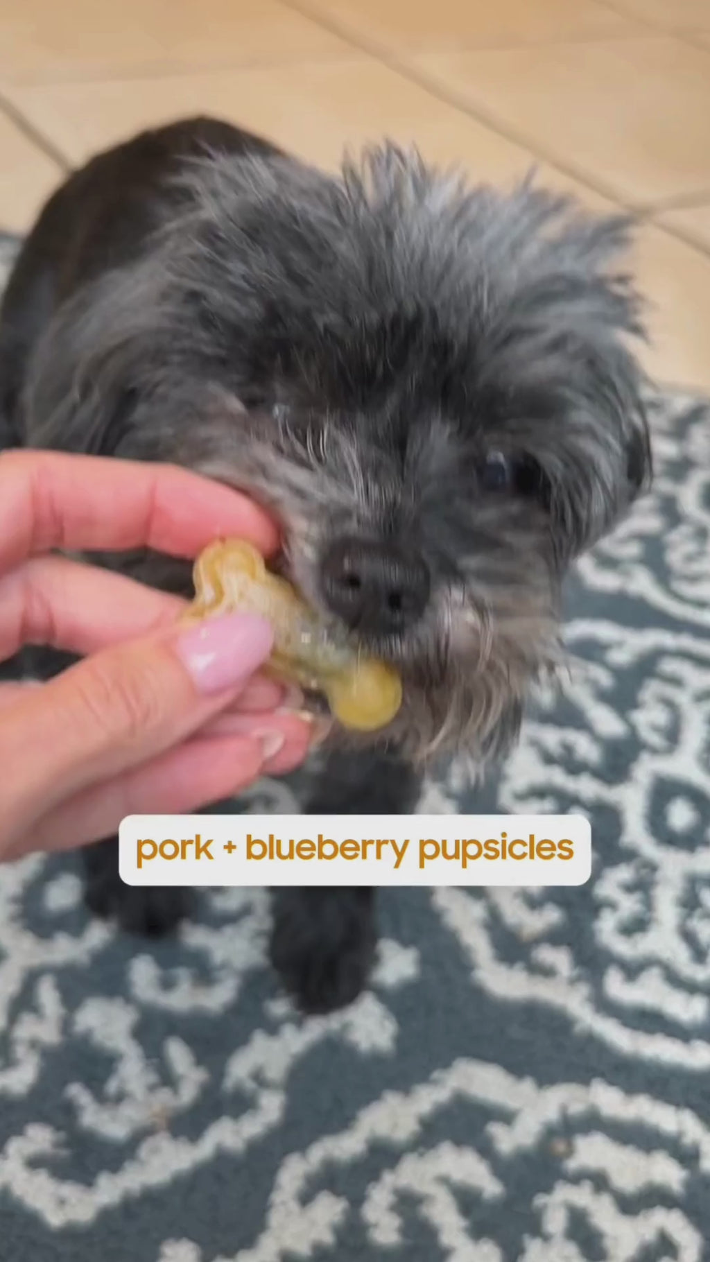 Venison, Beef, Chicken