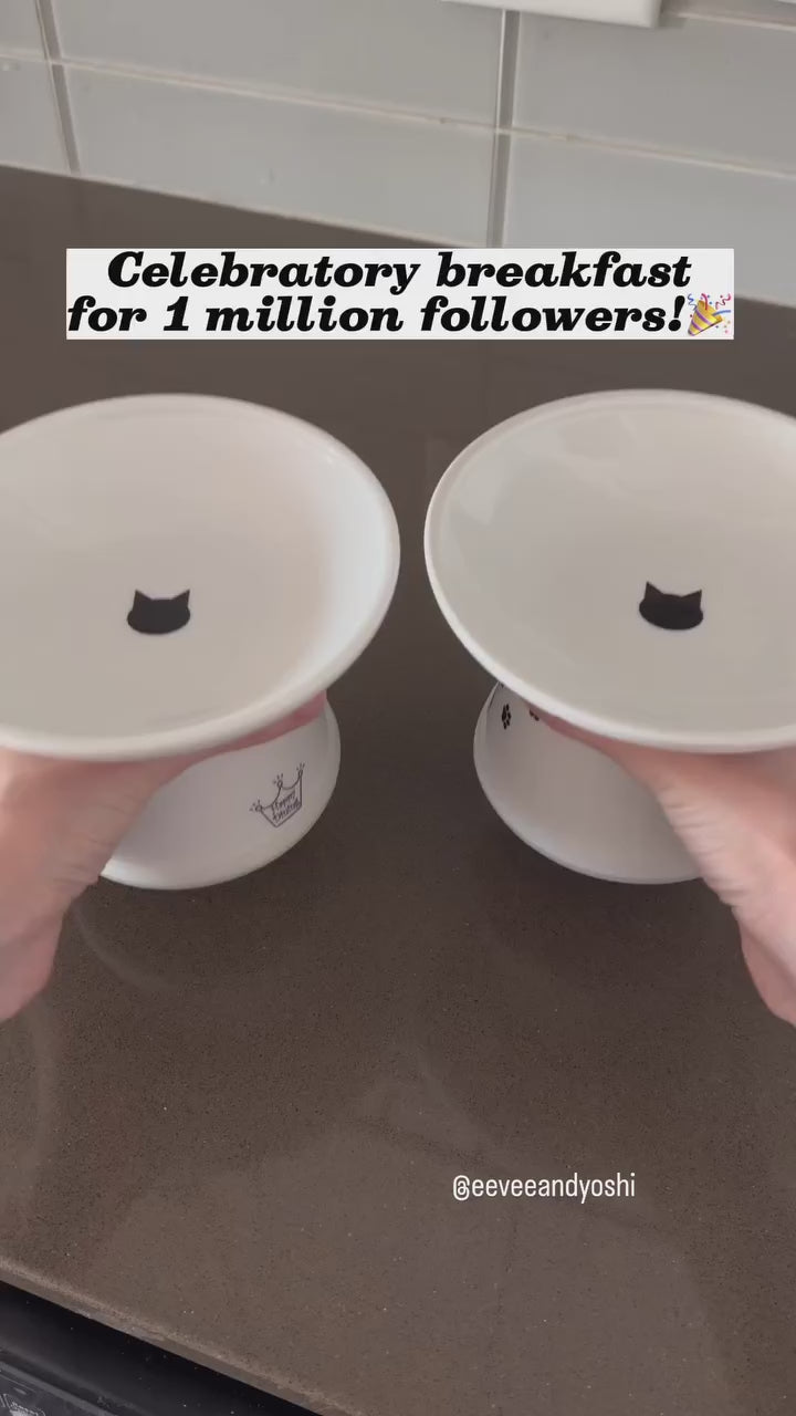 Chicken Liver, Salmon, Chicken & Tuna, Duck & Chicken, Duck & Chicken, Salmon & Tuna, Tuna