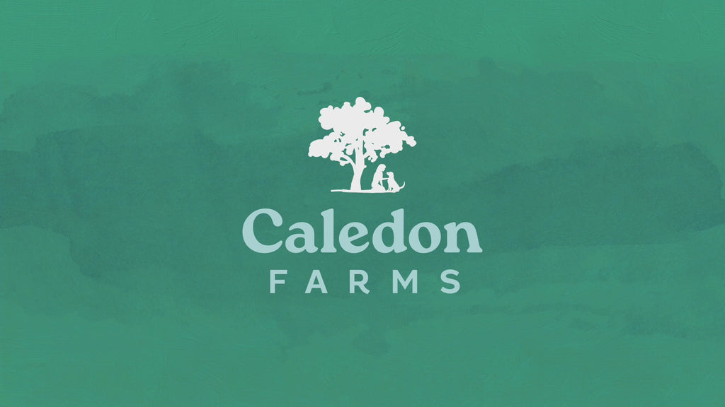 Caledon Farms Plaque Busters Dental Sticks for Dogs Video