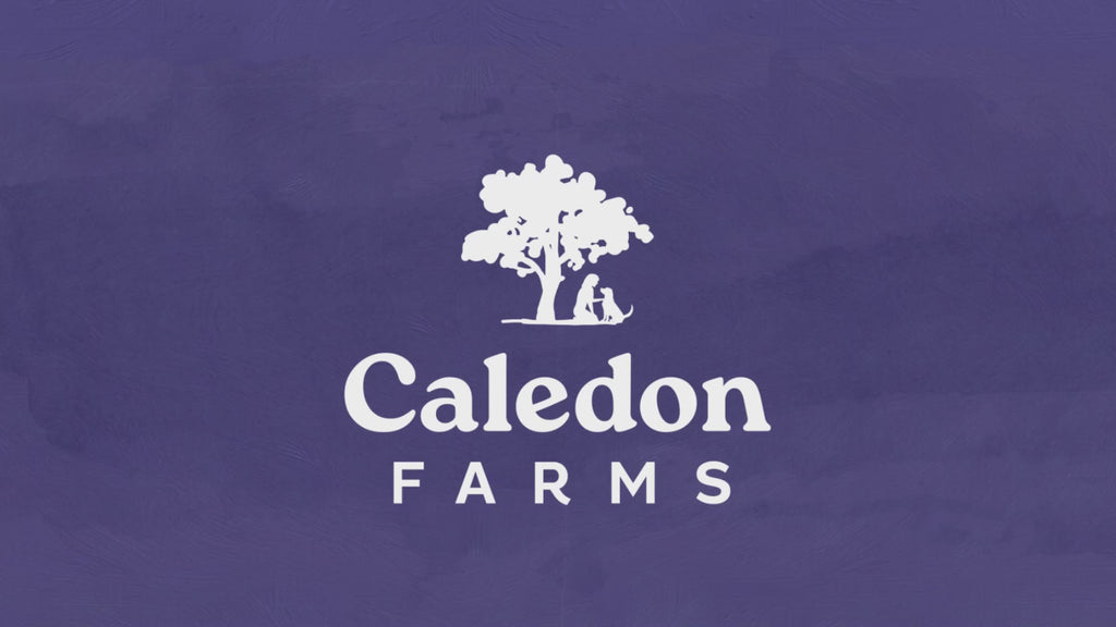 Caledon Farms Sweet Potato Chews for Dogs Video