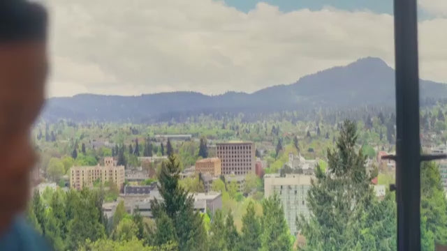 Chicken, Turkey & Chicken Liver, Turkey & Duck, Whitefish, Salmon & Herring