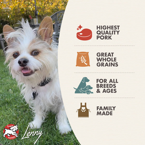 Fromm Four-Star Grain Inclusive Pork and Apple Sauce Dry Dog Food