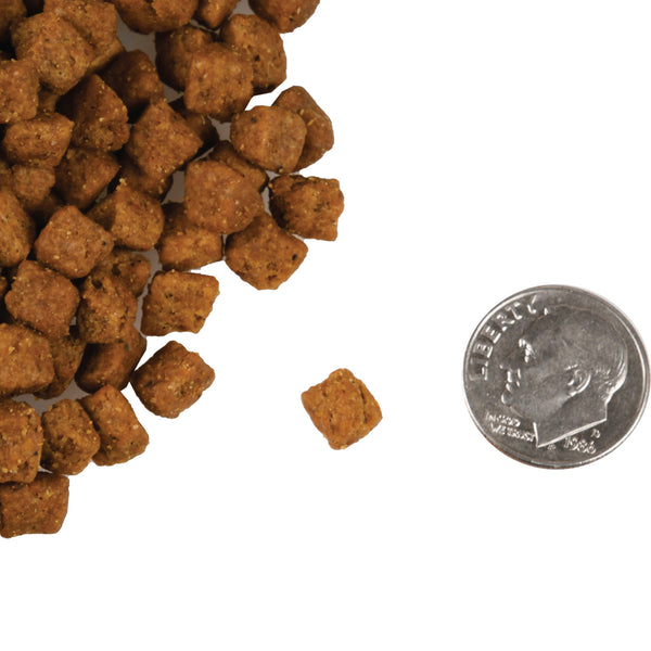 Fromm Four Star Grain Free Beef Livattini Veg Formula Dry Cat Food