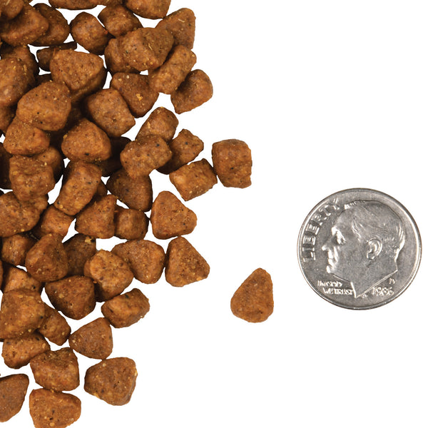 Fromm Four Star Chicken Au Frommage Grain Free Recipe Dry Cat Food