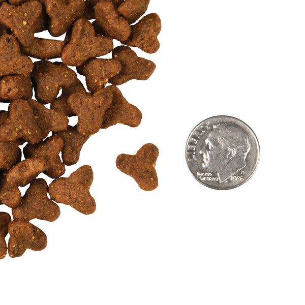 Fromm Four Star Grain Free Game Bird Recipe Dry Cat Food