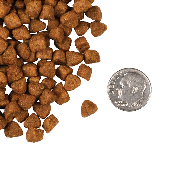 Fromm Four Star Hasen Duckenpfeffer Grain Free Dry Cat Food