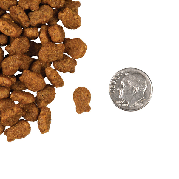 Fromm Four Star Grain Free Salmon Tunachovy Dry Cat Food