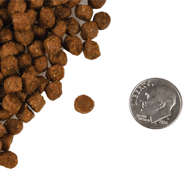 Fromm Four Star Trout & Whitefish Dry Cat Food